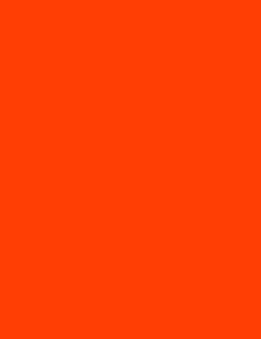 orange atv flag