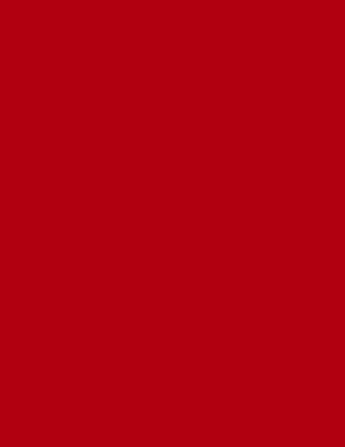 red atv flag