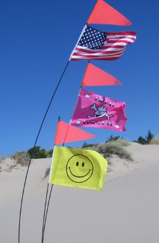dune buggy flags